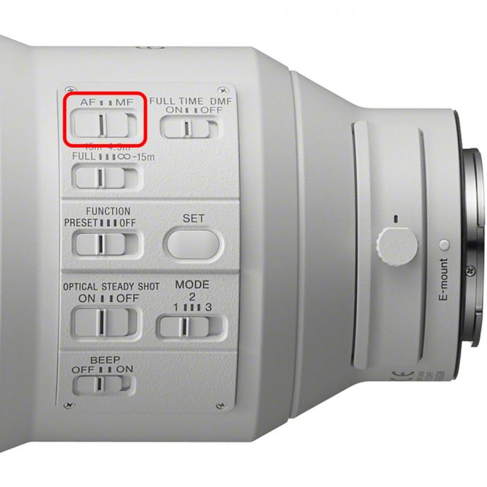 Sony FE 600mm f/4 GM OSS Lens